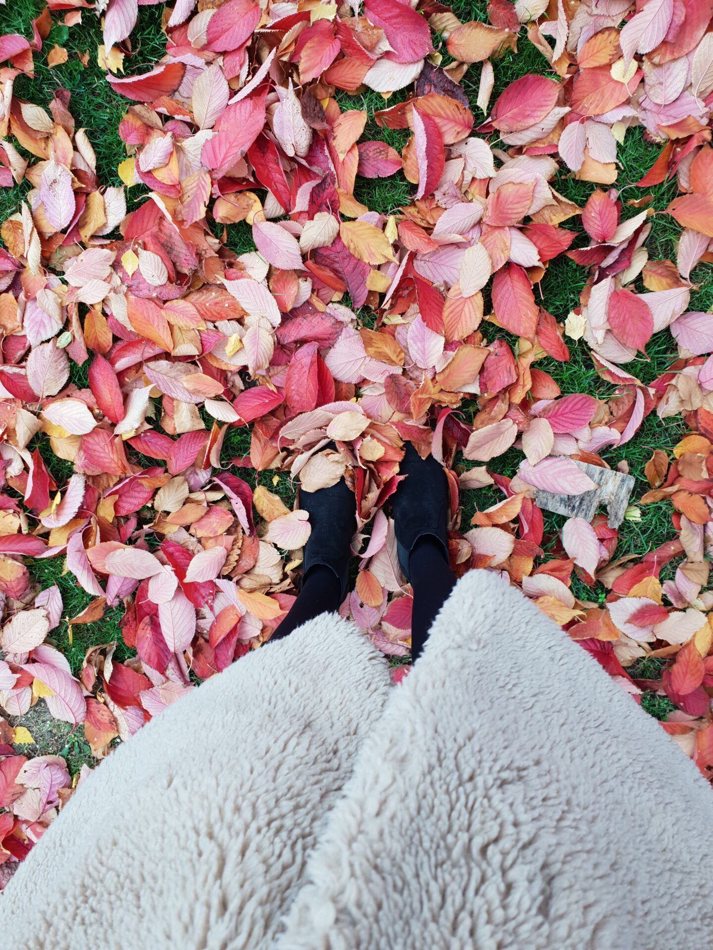 10 Autumn Essentials