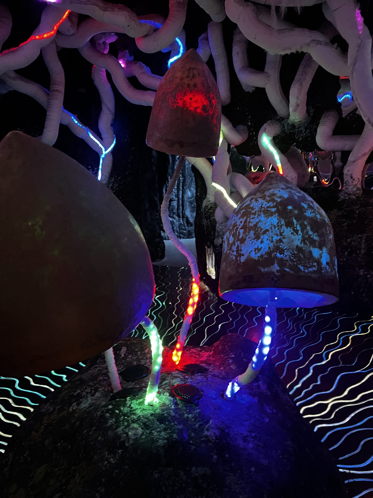 Wake The Tiger Bristol